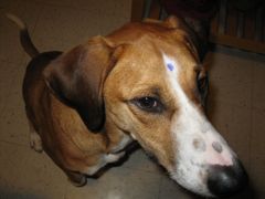 IMG_0345.JPG