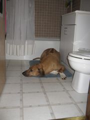 IMG_0844.JPG