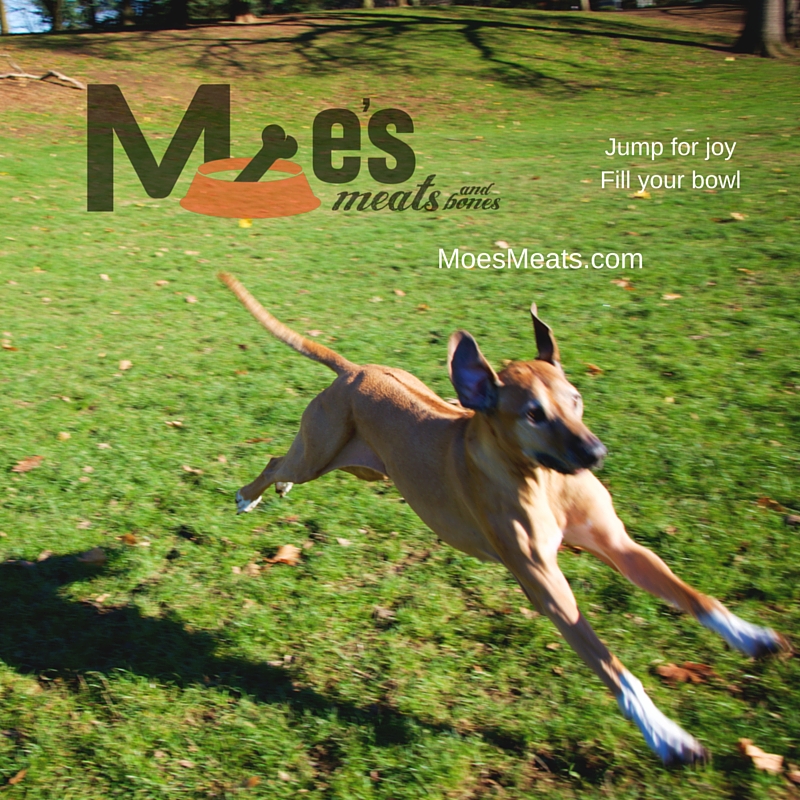 Moe's Meats and Bones: www.MoesMeats.com