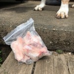 Raw lamb bones at Moe's Meats and Bones