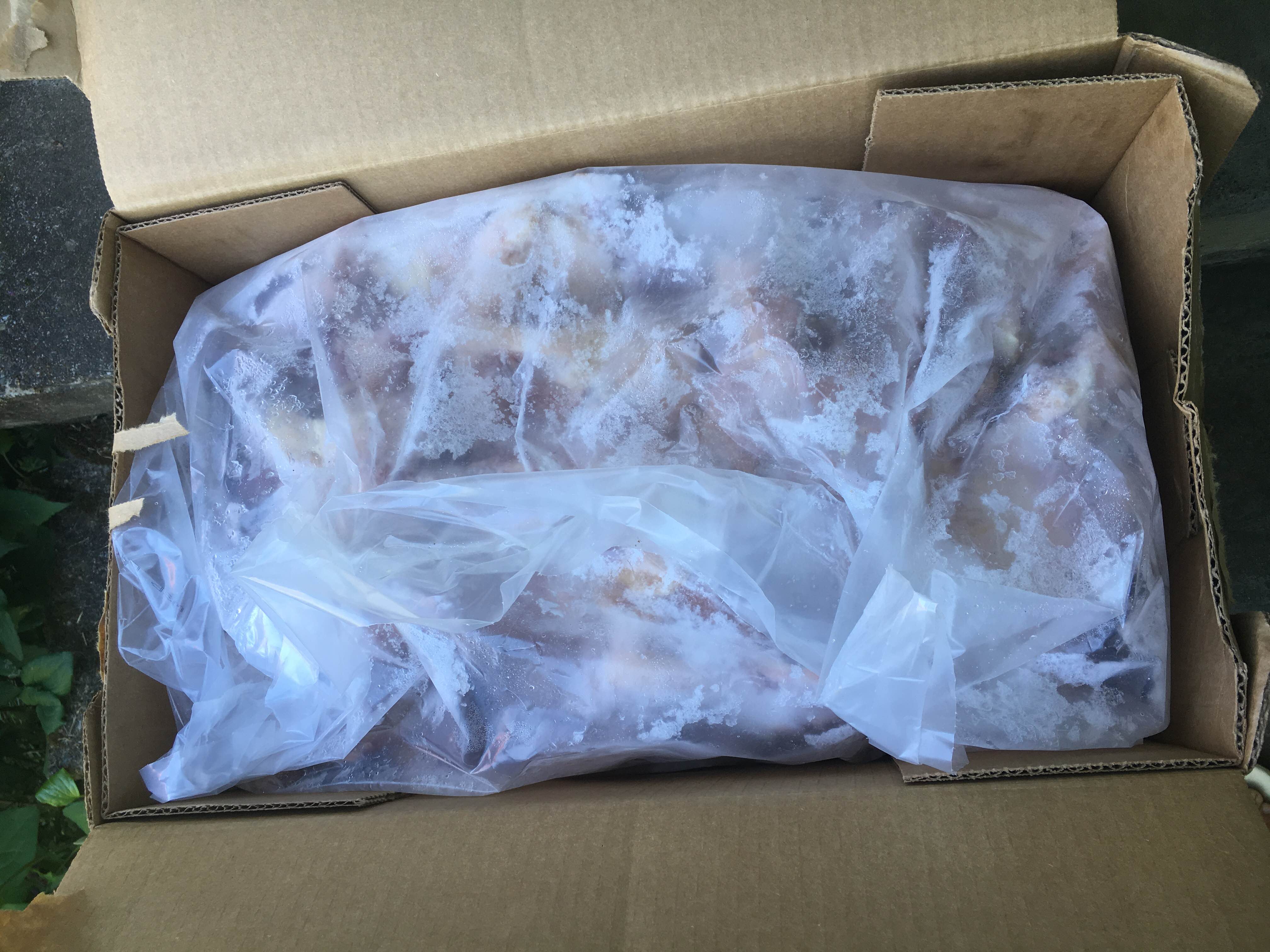 Raw Chicken Backs Meat and Bones for Dogs Moe's Meats