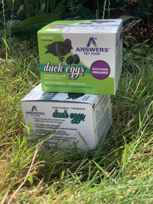 Organic Duck Eggs for Pets